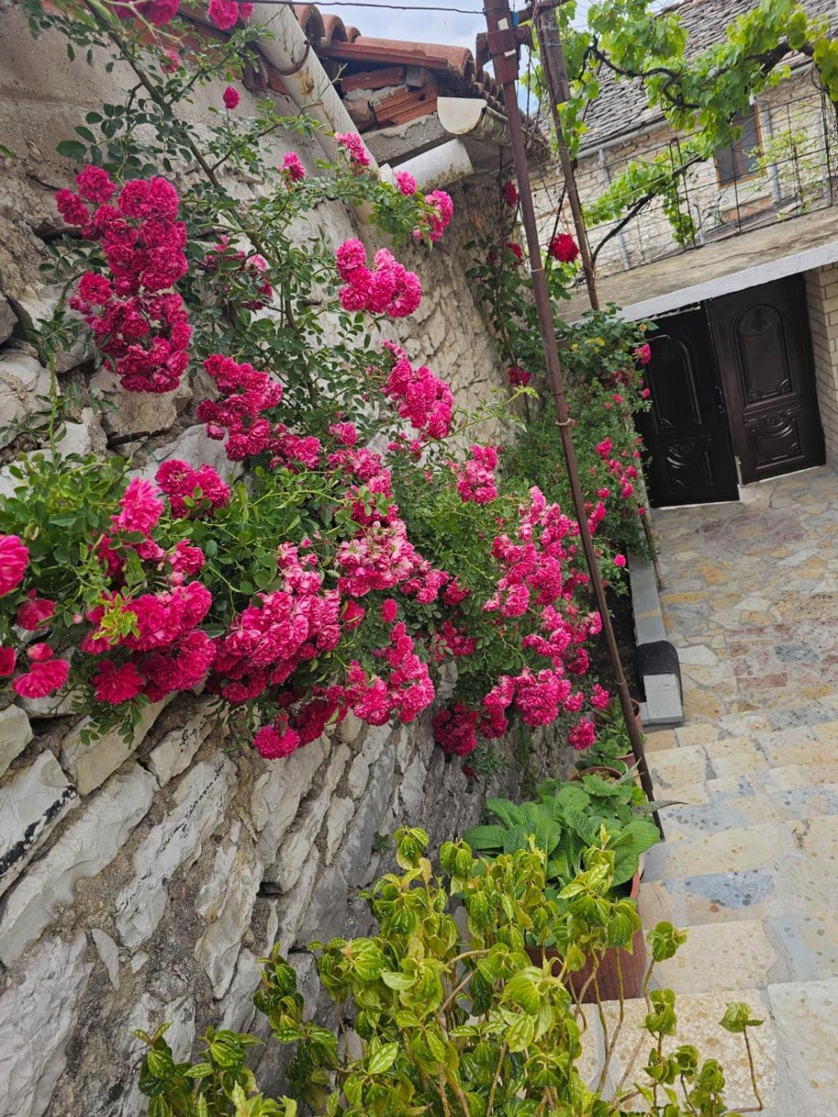 Luigi Guest House Gjirokastër Esterno foto